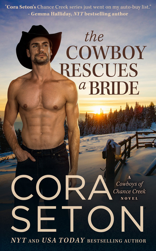 The Cowboy Rescues a Bride (Book 7)
