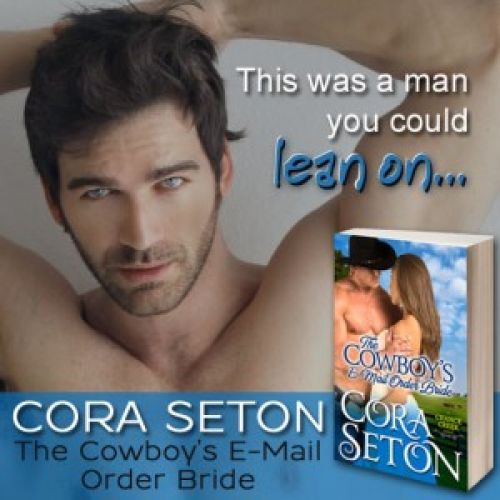 The Cowboy's E-Mail Order Bride - Free On All Platforms