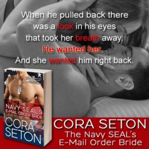 The Navy SEAL's E-Mail Order Bride is Free!