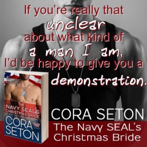 Upcoming Release: The Navy SEAL's Christmas Bride
